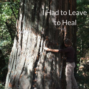 I Had to Leave to Heal